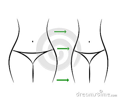 Weight loss. Silhouette of a female body. Fitness. Thin waist. Vector Vector Illustration